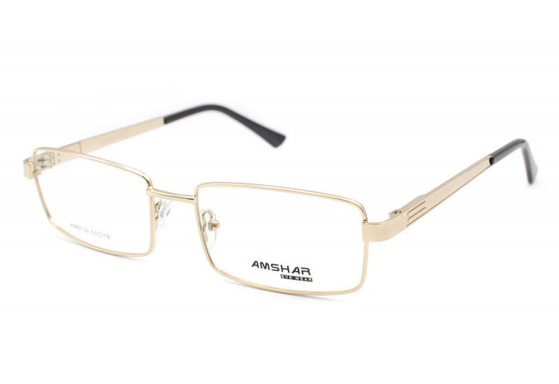 Металеві чоловічі окуляри для зору Amshar 8739